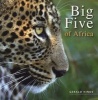 Big Five of Africa (Paperback) - Gerald Hinde Photo