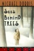 Sees Behind Trees (Paperback, 1st Hyperion pbk ed) - Michael Dorris Photo