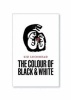 The Colour of Black and White (Paperback, Illustrated Ed) - Liz Lochhead Photo