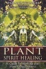 Plant Spirit Healing - A Guide to Working with Plant Consciousness (Paperback) - Pam Montgomery Photo