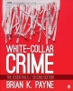 White-Collar Crime - The Essentials (Paperback, 2nd Revised edition) - Brian K Payne Photo