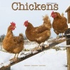 Chickens Calendar 2017 (Calendar) - Avonside Publishing Ltd Photo