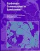 Carbonate Cementation in Sandstones - Distribution Patterns and Geochemical Evolution (Hardcover) - Sadoon Morad Photo