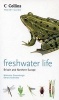 Freshwater Life (Paperback) - Malcolm Greenhalgh Photo