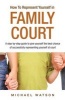 How To Represent Yourself in Family Court, v. 1 - A Step-by-Step Guide (Paperback) - Michael Watson Photo