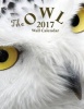 The Owl 2017 Wall Calendar (Paperback) - Aberdeen Stationers Co Photo