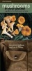 Mushrooms in Your Pocket - A Guide to the Mushrooms of Iowa (Other printed item, New) - Donald M Huffman Photo