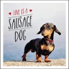 Love is a Sausage Dog (Hardcover) - Charlie Ellis Photo