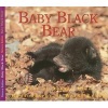 Baby Black Bear (Paperback) - Aubrey Lang Photo