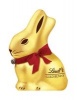 Lindt Gold Bunny (Hardcover) -  Photo