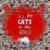 All the Cats in the World (Hardcover) - Jesse Hunter Photo