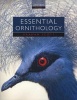 Essential Ornithology (Paperback) - Graham Scott Photo