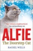 Alfie the Doorstep Cat (Hardcover) - Rachel Wells Photo