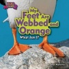 My Feet Are Webbed and Orange (Puffin) (Hardcover) - Joyce Markovics Photo