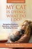 My Cat Is Dying - What Do I Do?: Navigating Emotions, Decisions, and Options for Healing Pet Loss (Paperback) - Wendy Van De Poll Photo