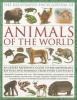 The Illustrated Encyclopedia of Animals of the World - An Expert Reference Guide to 840 Amphibians, Reptiles and Mammals from Every Continent (Paperback) - Tom Jackson Photo