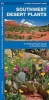 Southwestern Desert Plants: An Introduction to Familiar Species (Paperback) - James Kavanagh Photo