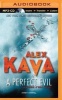 A Perfect Evil (MP3 format, CD) - Alex Kava Photo