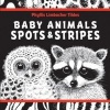 Baby Animals Spots and Stripes (Board book) - Phyllis Limbacher Photo