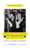 Opening the Doors of Perception (Paperback) - Anthony Peake Photo