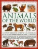 The Complete Illustrated Encyclopedia of Animals of the World - An Expert Reference Guide to 840 Amphibians, Reptiles and Mammals from Every Continent (Hardcover) - Tom Jackson Photo