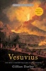 Vesuvius - The Most Famous Volcano in the World (Paperback, Main) - Gillian Darley Photo