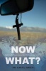 Now What? - Spiritual Discernment for Cultural Encounters (Paperback) - Gary L Green Photo