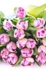 A Brilliant Purple Tulip Flower Arrangement - Blank 150 Page Lined Journal for Your Thoughts, Ideas, and Inspiration (Paperback) - Unique Journal Photo