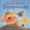 Big Pig on a Dig (Paperback, New edition) - Phil Roxbee Cox Photo