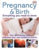 Pregnancy and Birth Everything You Need to Know (Paperback) - Mary Steen Photo