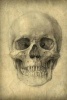 Drawing - Human Skull Study Journal - 150 Page Lined Notebook/Diary (Paperback) - Cool Image Photo