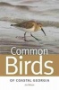 Common Birds of Coastal Georgia (Paperback) - Jim Wilson Photo