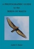 A Photographic Guide to the Birds of Malta (Paperback) - Andre Raine Photo