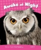 Level 2: Awake at Night CLIL (Paperback) - Laura Miller Photo