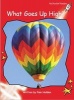 What Goes Up High?, Level 1 - Early (Paperback, International edition) - Pam Holden Photo