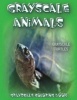  Turtles - Grayscale Coloring Book, 20 Images of Grayscale Turtles, 8.5x11 (Paperback) - Grayscale Animals Photo