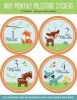 Baby's Monthly Milestone Stickers - Woodland Friends - 12 Stickers: One for Each Month! (Stickers) - Inc Peter Pauper Press Photo