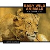 Baby Wild Animals Calendar 2017 - 16 Month Calendar (Paperback) - David Mann Photo