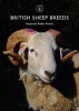 British Sheep Breeds (Paperback) - Susannah Robin Parkin Photo