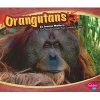 Orangutans (Paperback) - Lyn A Sirota Photo