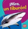 Mira, Un Tiburon! (Look, a Shark!) (English, Spanish, Paperback) - Tessa Kenan Photo