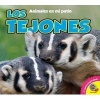 Los Tejones (English, Spanish, Hardcover) - Aaron Carr Photo