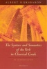 The Syntax and Semantics of the Verb in Classical Greek (Paperback, 3rd Revised edition) - Albert Rijksbaron Photo