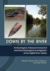 Down by the River - Archaeological, Palaeoenvironmental and Geoarchaeological Investigations of the Suffolk River Valleys (Hardcover) - Henry Chapman Photo