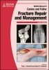 BSAVA Manual of Canine and Feline Fracture Repair and Management (Paperback, 2nd Revised edition) - Toby Gemmill Photo