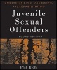 Understanding, Assessing and Rehabilitating Juvenile Sexual Offenders (Paperback, 2nd Revised edition) - Phil Rich Photo