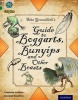 Project X Origins: Grey Book Band, Oxford Level 12: Myths and Legends: Silas Greenshield's Guide to Bunyips, Boggarts and Other Beasts (Paperback) - Charlotte Guillain Photo