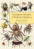 Common Spiders of North America (Hardcover) - Richard A Bradley Photo