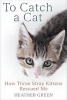 To Catch a Cat - How Three Stray Kittens Rescued Me (Paperback) - Heather Green Photo