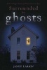 Surrounded by Ghosts - Tales of Pogey Point and Places from My Past (Paperback) - Janet Larkin Photo